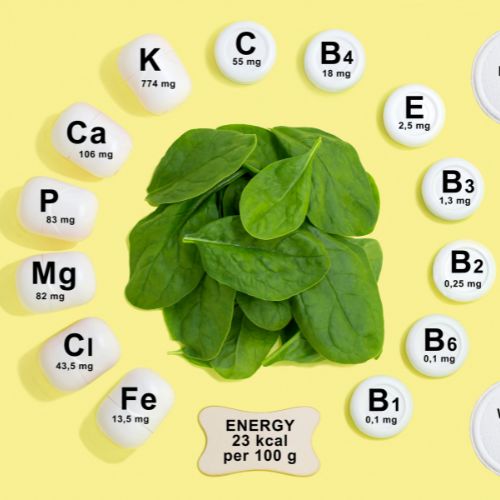 Reliable Hair Analysis and a Personalised Nutrition Plan by a Certified Nutritionist.
