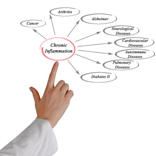 Reliable Hair Analysis and a Personalised Nutrition Plan by a Certified Nutritionist.