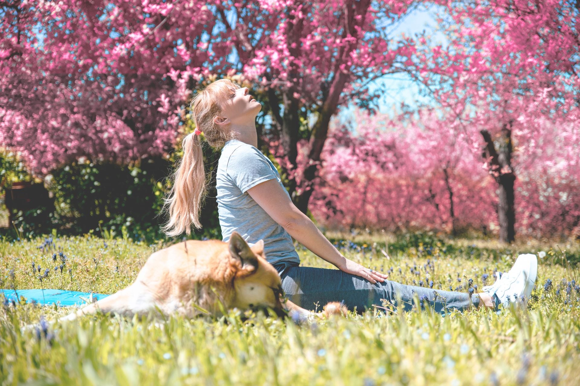 A woman sitting in a park with vibrant pink blossoms, enjoying the sunlight and fresh air, with a relaxed dog lying beside her on the grass, symbolising good posture and relaxation for back pain relief