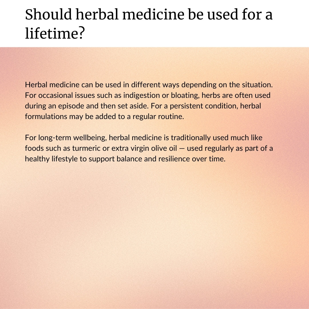 Men’s Libido & Performance Complex Botanical Powder (30-Days)