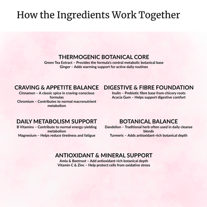Weight Management & Metabolic Balance — Natural Energy, Cravings Support & Daily Wellness | 60g Vegan Powder Blend