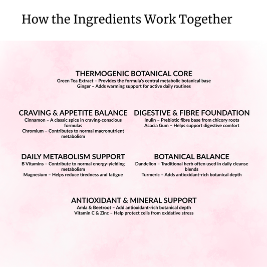 Weight Management & Metabolic Balance — Natural Energy, Cravings Support & Daily Wellness | 60g Vegan Powder Blend