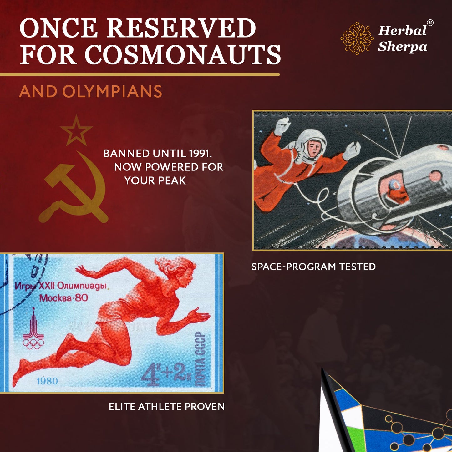 KX901 Crystals Pre-Workout & Recovery with Rhodiola, Shilajit & Reishi