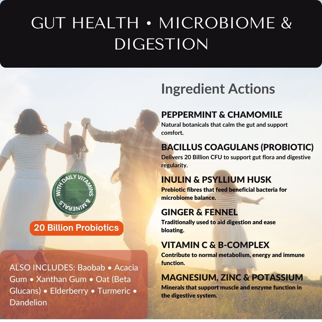 Ingredient actions for Herbal Sherpa Bloating and Digestive Cleanse showing probiotics, prebiotics and gut-soothing herbs