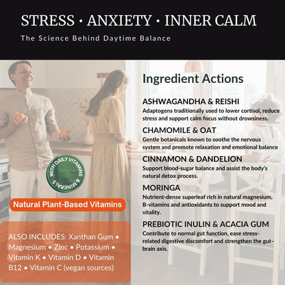 Herbal Sherpa Vegan Daytime Stress & Anxiety Relief — ingredient actions overview showing ashwagandha & reishi for stress adaptation, chamomile & oat for nervous system calm, moringa for natural nutrients, prebiotic inulin & acacia gum for gut-brain support. plus B-vitamins, vitamin C, vitamin D, vitamin K2, magnesium, zinc and potassium — metabolism, appetite and energy support infographic