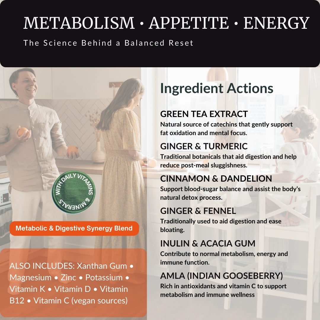 Herbal Sherpa Vegan Weight Loss & Fat Burner — ingredient actions overview showing green tea extract, ginger, turmeric, cinnamon, dandelion, fennel, inulin, acacia gum, amla, plus B-vitamins, vitamin C, vitamin D, vitamin K2, magnesium, zinc and potassium — metabolism, appetite and energy support infographic