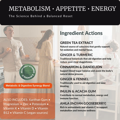 Herbal Sherpa Vegan Weight Loss & Fat Burner — ingredient actions overview showing green tea extract, ginger, turmeric, cinnamon, dandelion, fennel, inulin, acacia gum, amla, plus B-vitamins, vitamin C, vitamin D, vitamin K2, magnesium, zinc and potassium — metabolism, appetite and energy support infographic