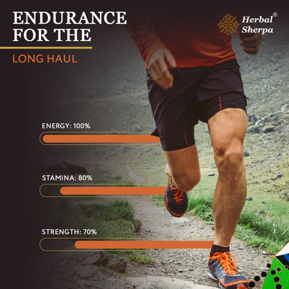 KX901 – Pre-Workout & Recovery with Rhodiola, Shilajit & Reishi