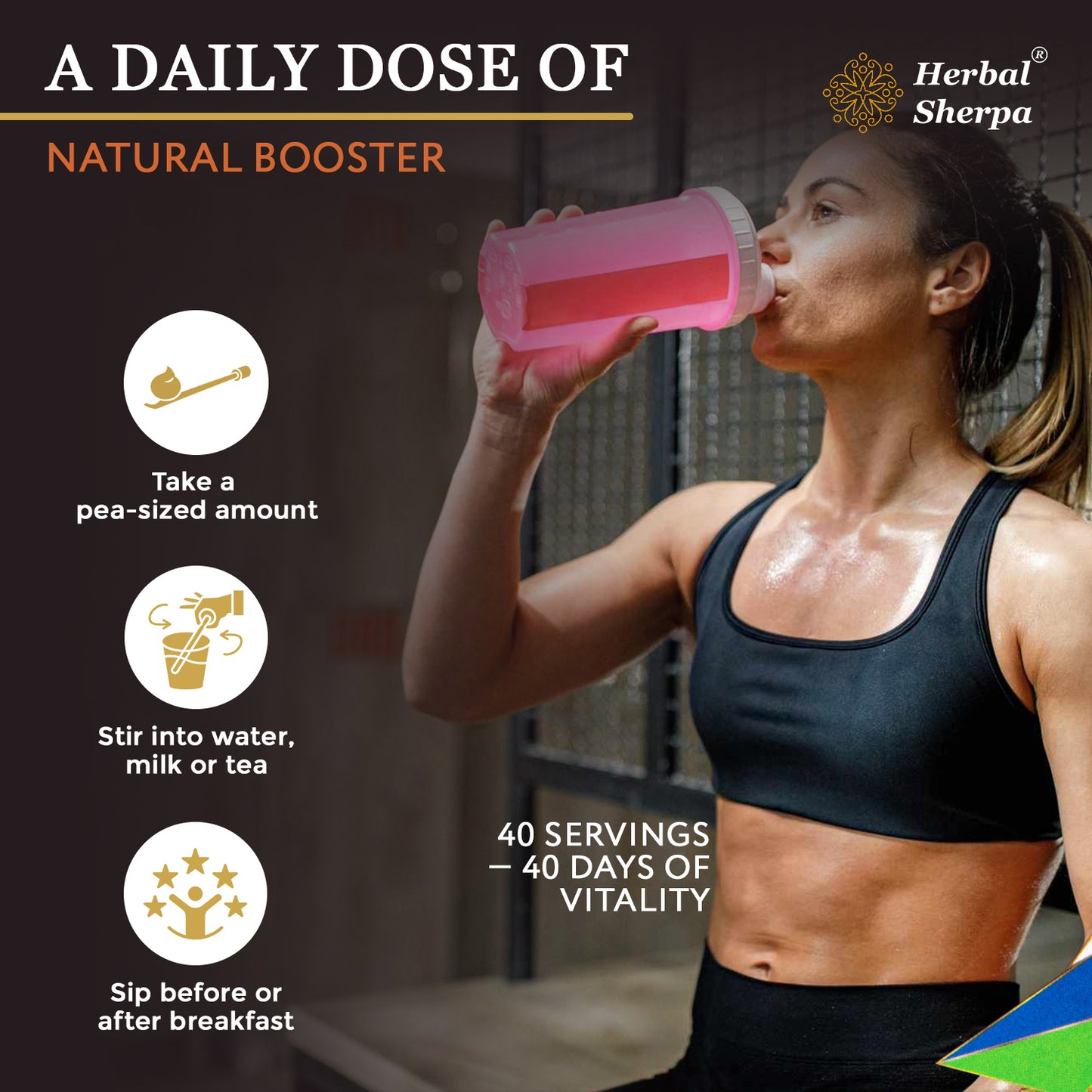 KX901 – Pre-Workout & Recovery with Rhodiola, Shilajit & Reishi